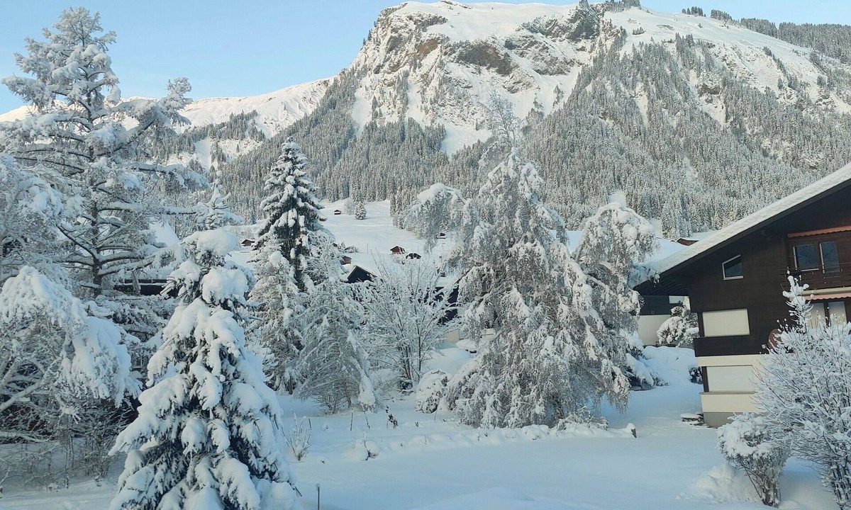 Lenk Apartment | Cosy apartment for 5 people with WIFI and balcony