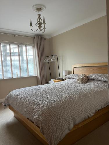 Norwich House | Cosy Bed and Breakfast