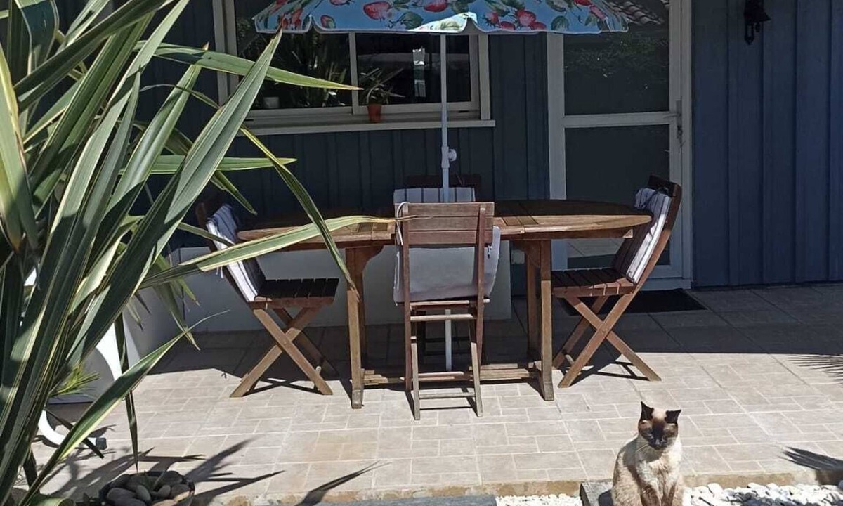 La Teste-de-Buch Ski Chalet | Cosy chalet close to Dune du Pyla, ocean beaches, Arcachon basin