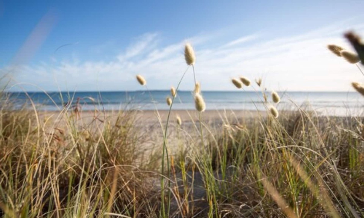 Omanu Other | Cosy Corner Holiday Park