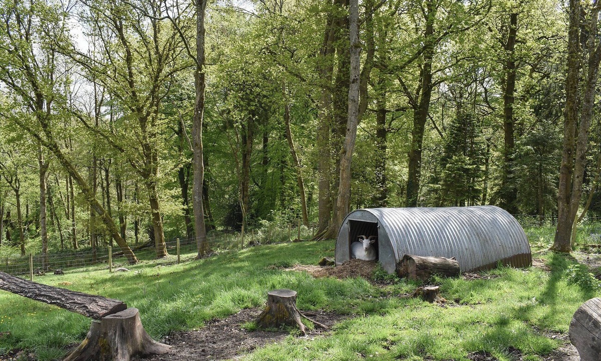 Martin Cottage | Cosy Cottage - UK34263