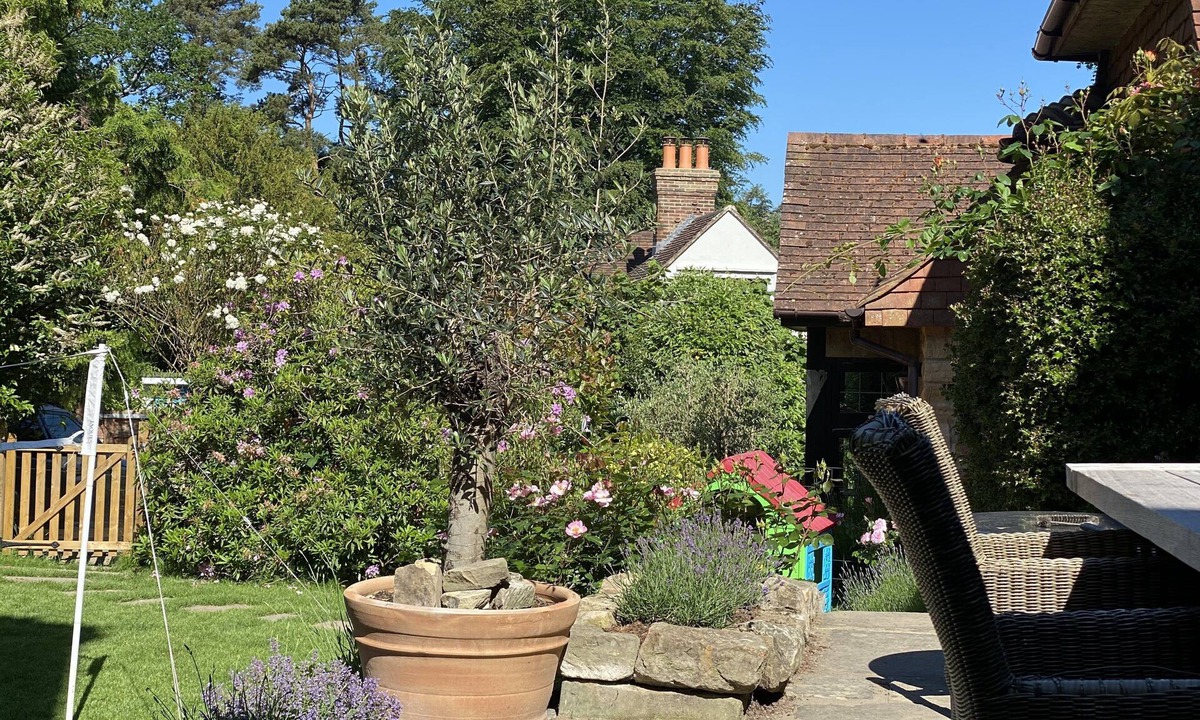 Forest Row Apartment | Cosy duplex Cottage on Ashdown Forest