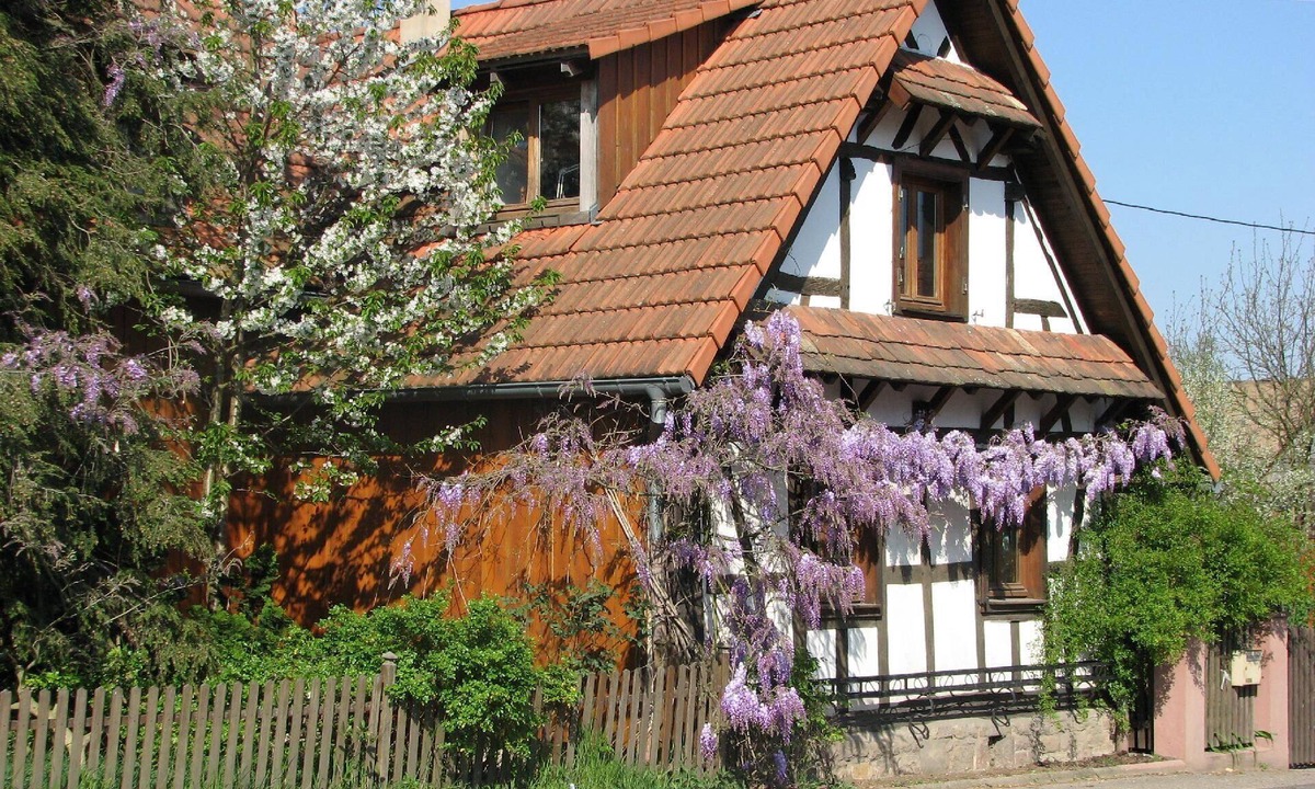 Betschdorf House | Cosy flat in Betschdorf
