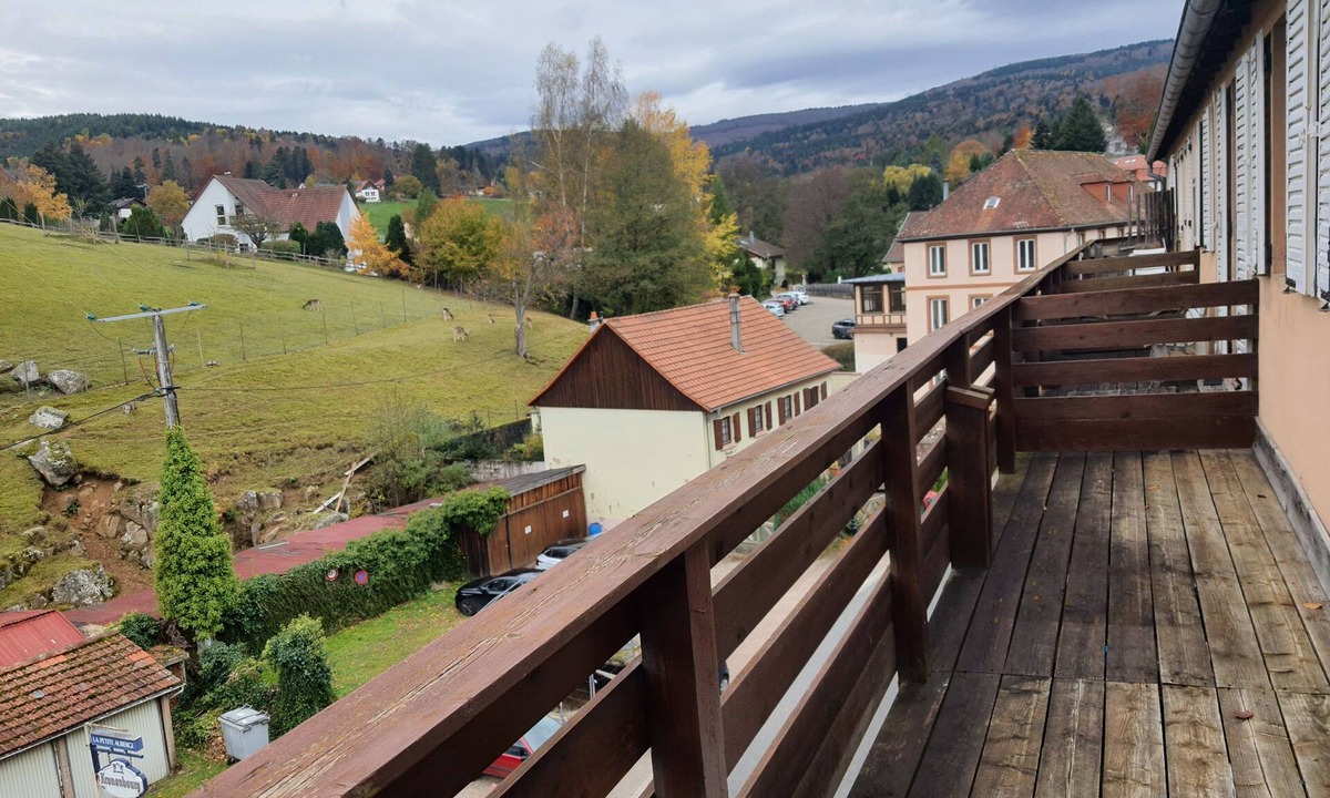 Le Hohwald Apartment | Cosy studio in Le Hohwald - Nature and relaxation guaranteed