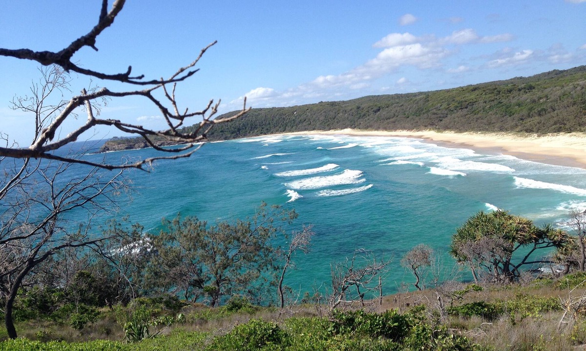 Palm Beach Bed & Breakfast | Cosy Studio walk to Whale beach