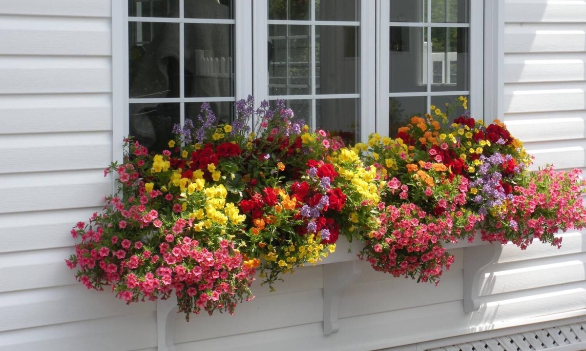 Grand Falls Bed & Breakfast | Cote's Bed & Breakfast Inn