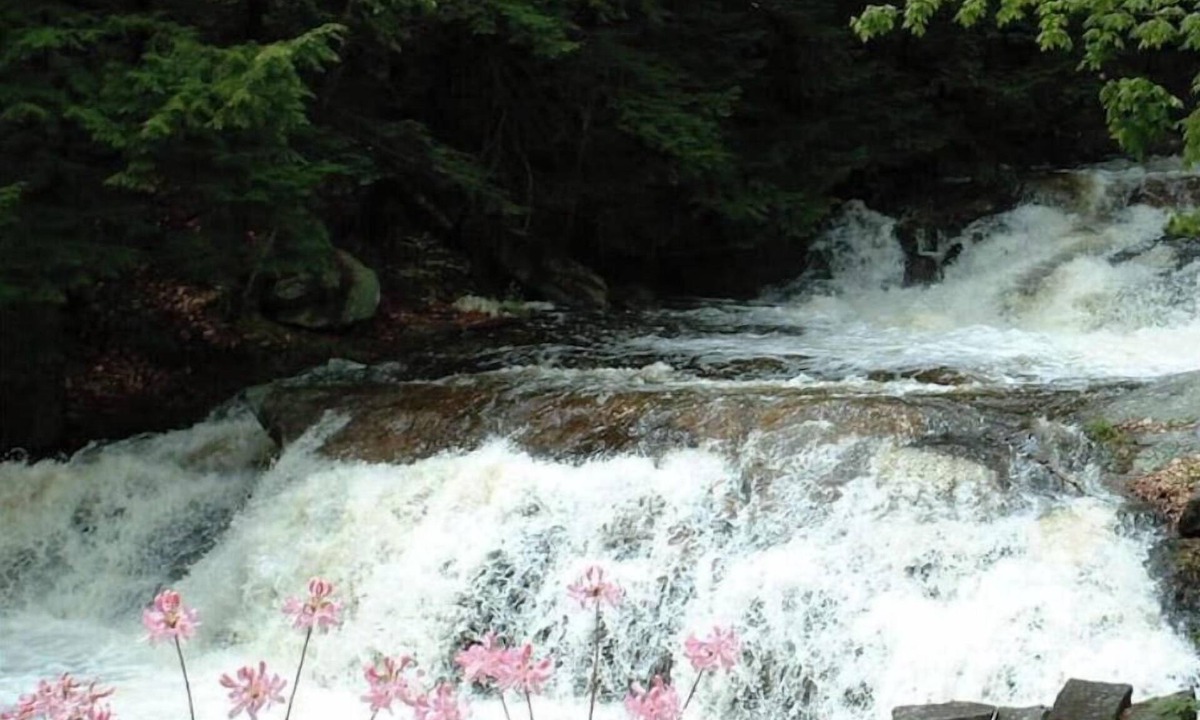 Wilton Cottage | Cottage beside a waterfall