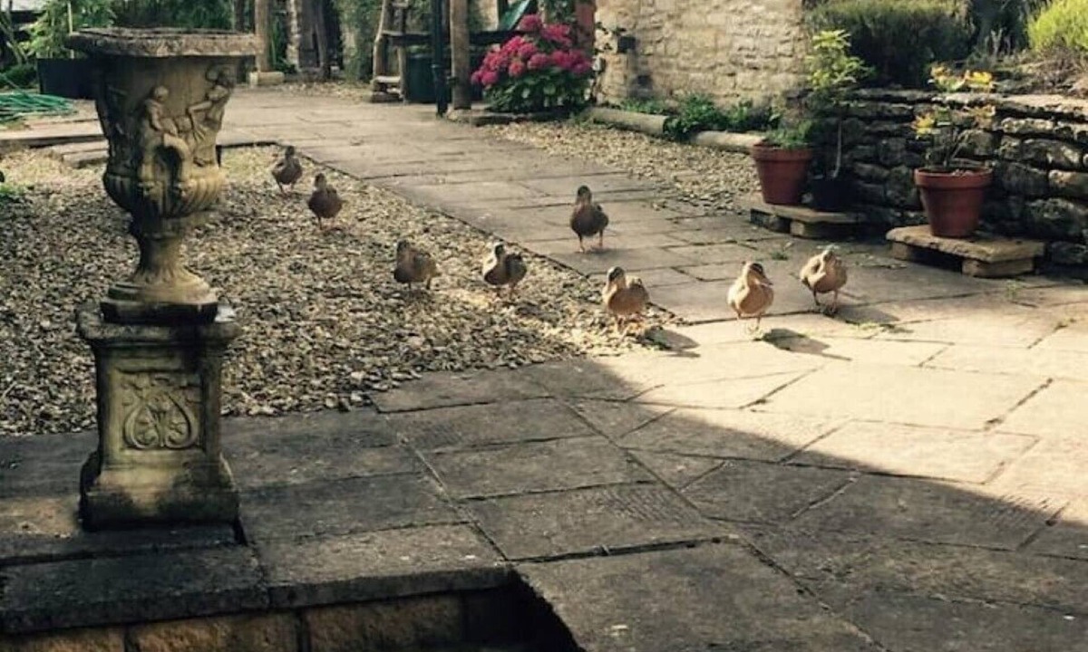 Coalpit Heath House | Cottage Farm Barn