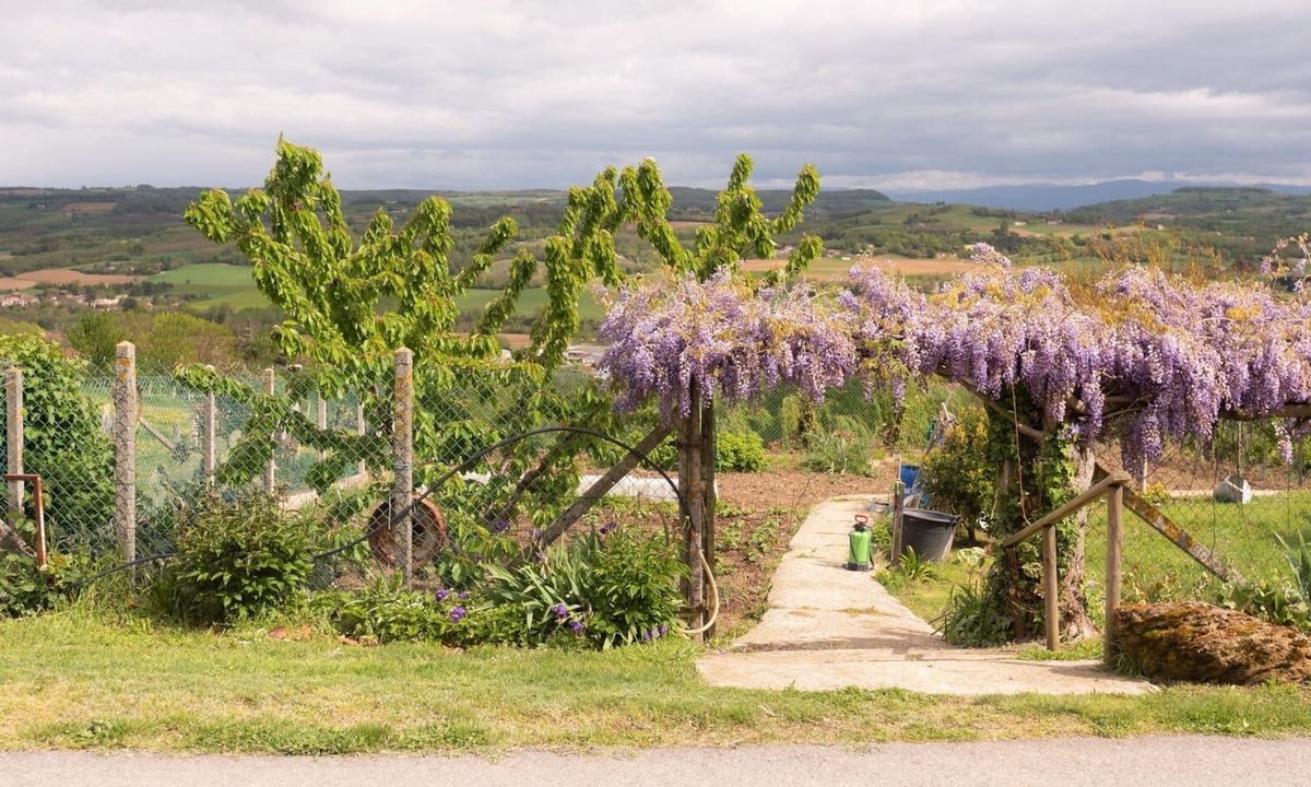 Chateauneuf-de-Galaure House | Cottage Les Figues 2