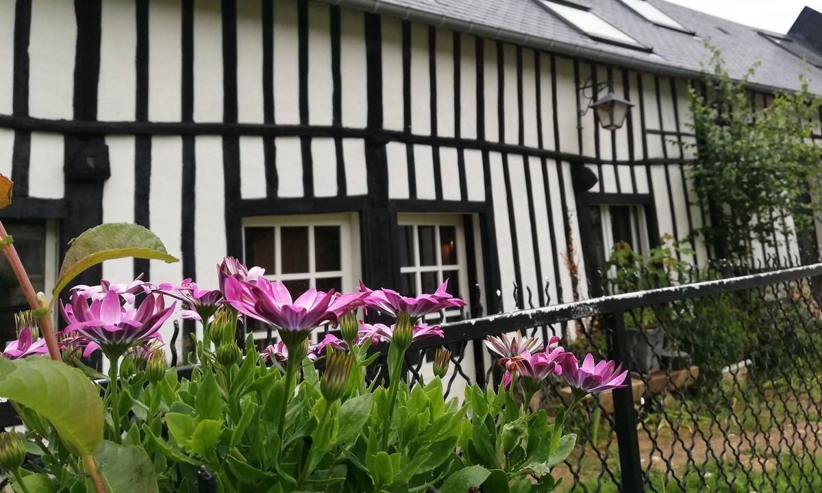 Sassetot-le-Mauconduit House | Cottage - Ground floor - Maison Normande - 1500 m from the beach