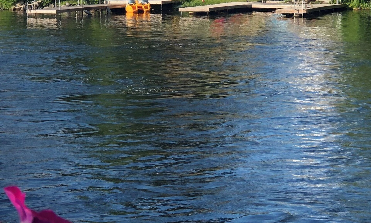 Coboconk Cottage | Cottage Kawartha Lakes on Balsam lake 4 Bed Rooms