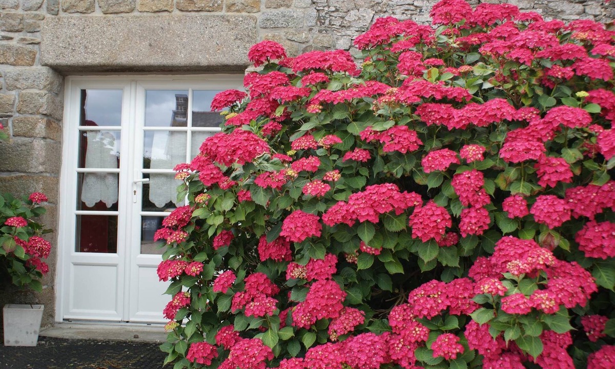 Cherrueix House | Cottage Kerruer