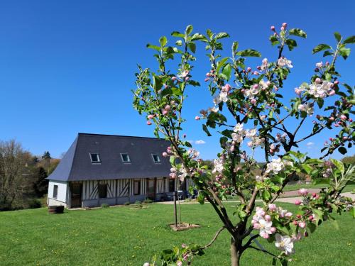 Pont-Audemer - Val de Risle House | Cottage normand, gîte à la campagne, au calme