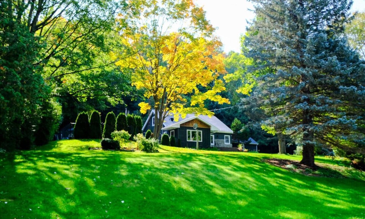 Meaford Cottage | Cottage on 5 Private Acres, Heated Pool & Hot Tub