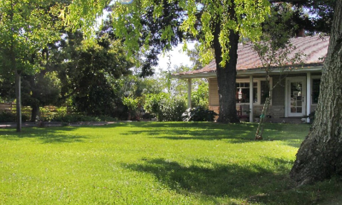 Lodi Cottage | Cottage on Armstrong