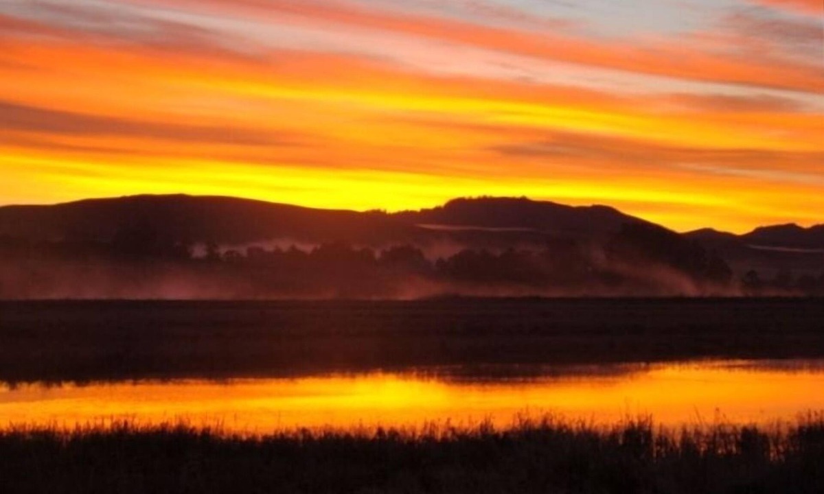 Point Reyes Station Cottage | Cottage on Inverness Bay!