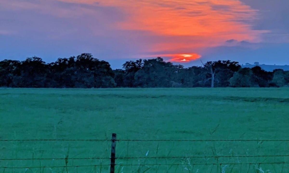 Red Rock Cottage | Cottage on the Ranch close ATX, Circuit of the Americas, Bastrop. Pet friendly!