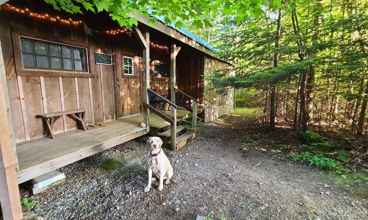 Jamaica Cottage | Cottage-Swim-Brook on Property-Views-Firepit-Woodstove-7 min to Stratton-Dogs OK