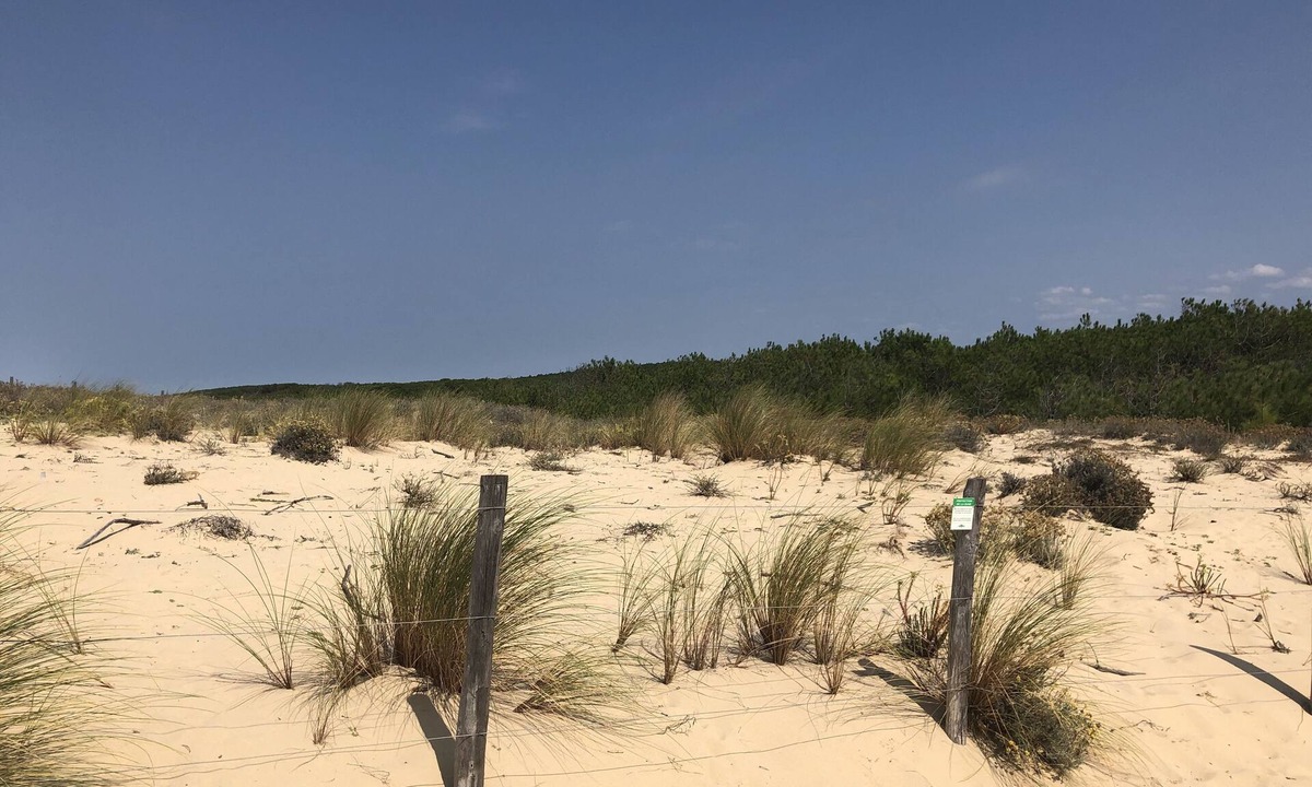 Le Porge House | Cottage with heated pool in a quiet forest setting