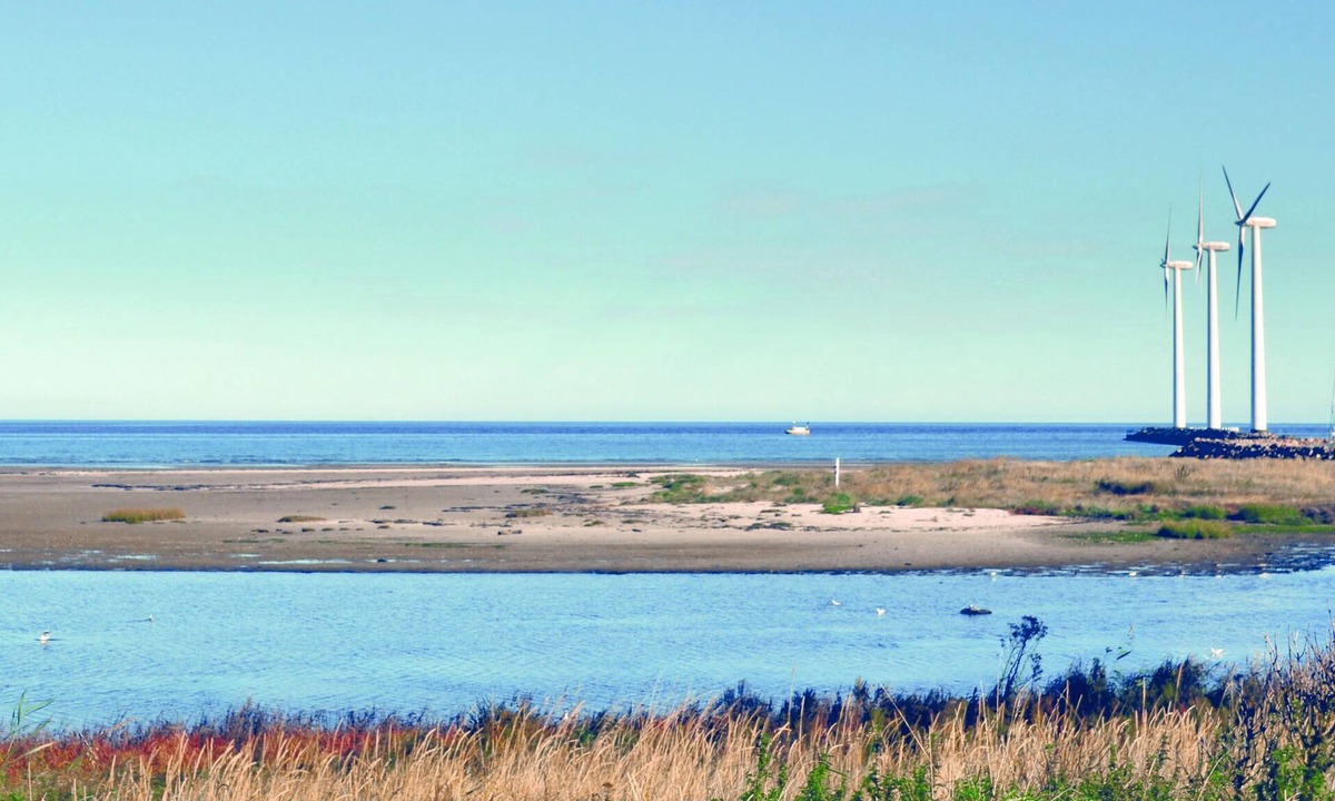 Bønnerup Strand House | Cottage with swimming pool on a quiet road bordering a nature reserve near Bønnerup Strand.