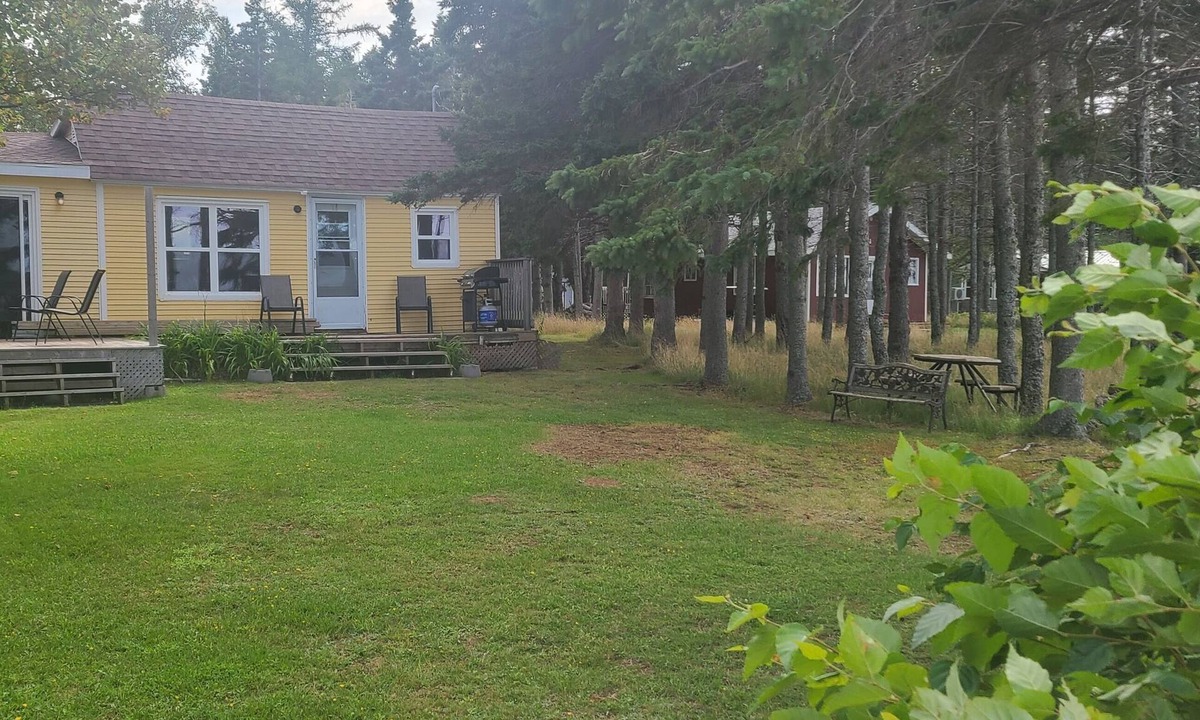 Tyne Valley Cabin | Cottage with Water view
