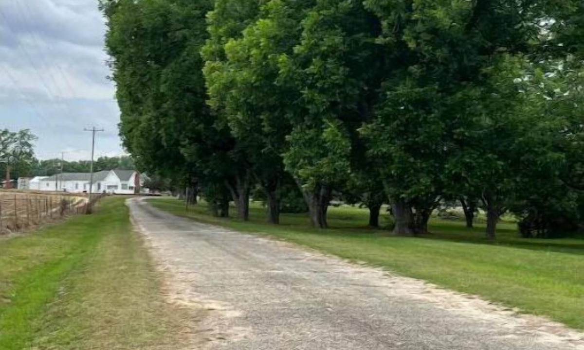 Sylvester House | Cotton Top Farm