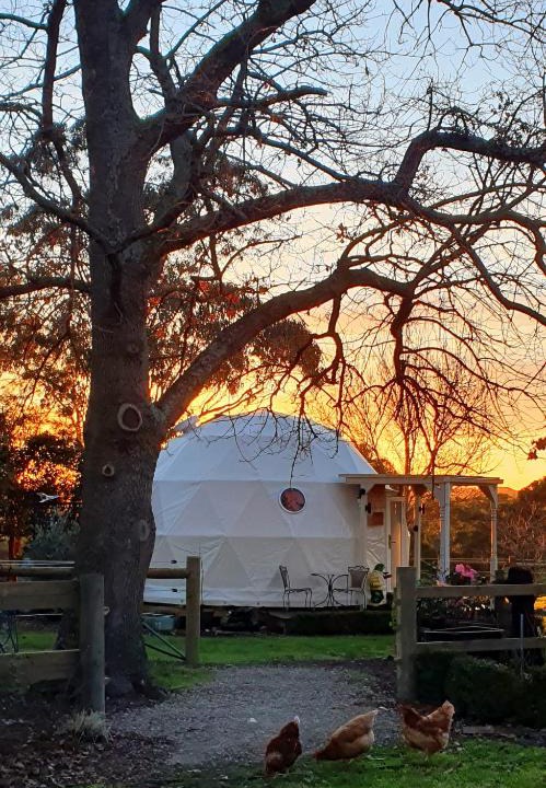 Yarragon Other | Counting Stars