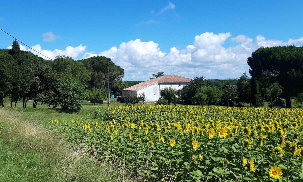 Cuq Cabin | Country cottage