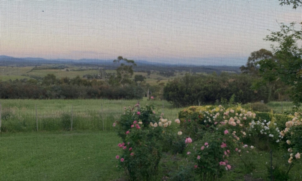 Doreen Other | Country Escape