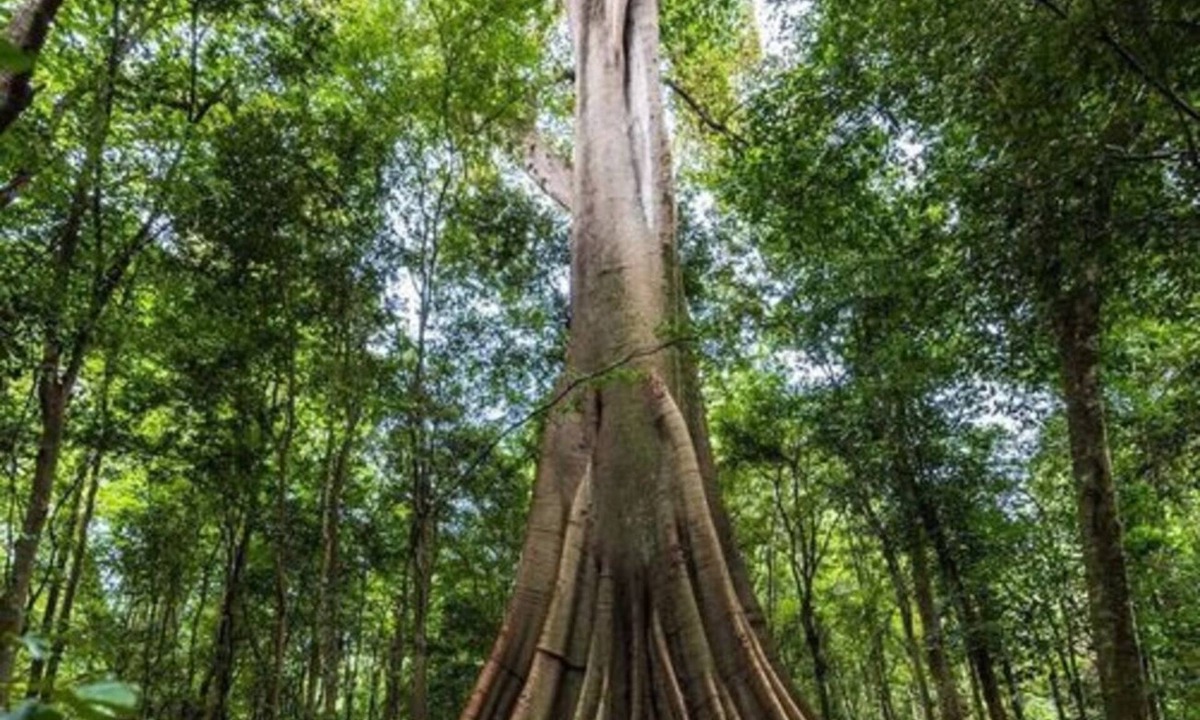 Wingham House | Country Escape by Tiny Away