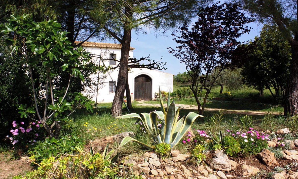 San Martin Sarroca Other | Country house surrounded by vineyards.
