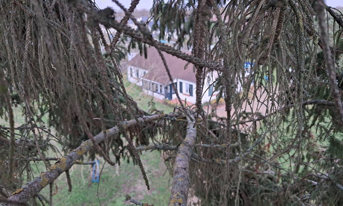 Villemurlin House | Country house between Sologne and Gâtinais