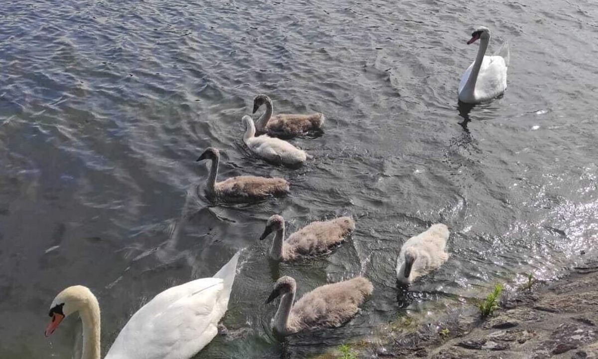 Vierzon House | Country property