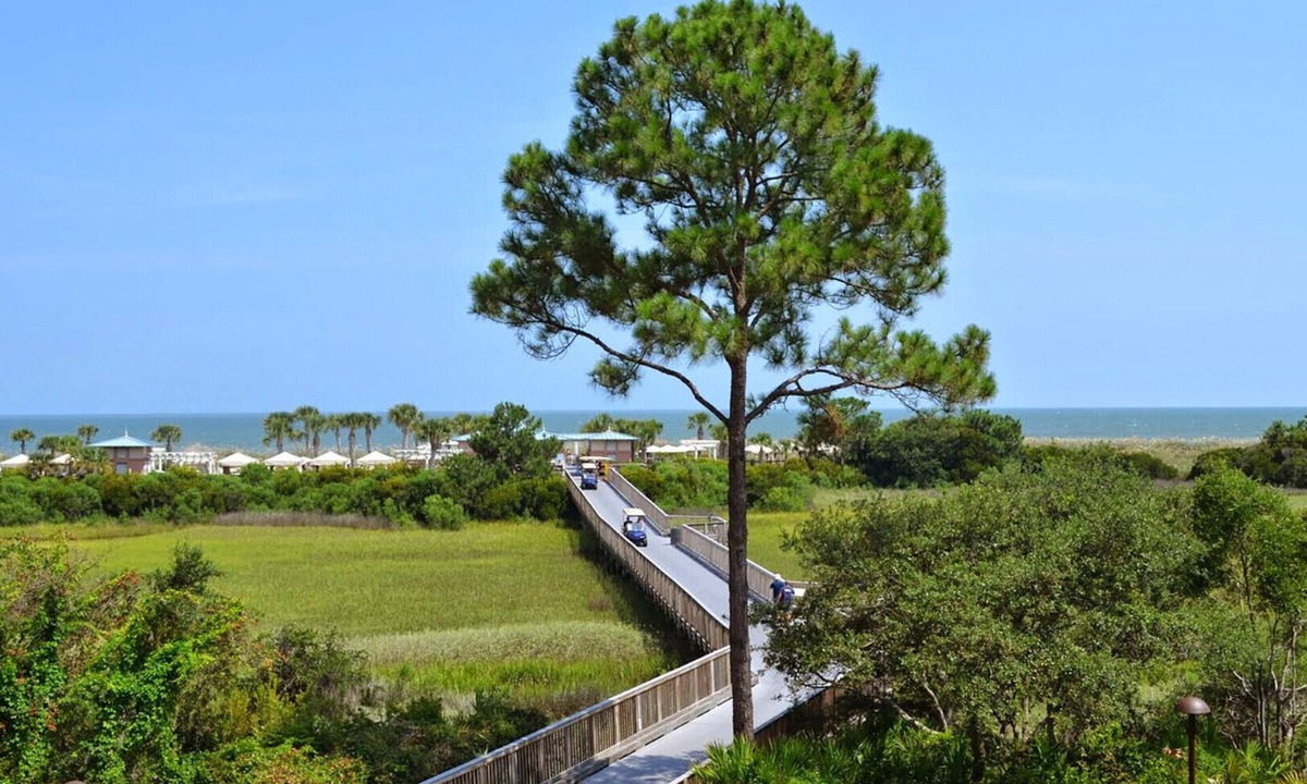 Palmetto Dunes Resort | Courtyard View - 3 Bedroom - Marriott's SurfWatch - Full Resort Access