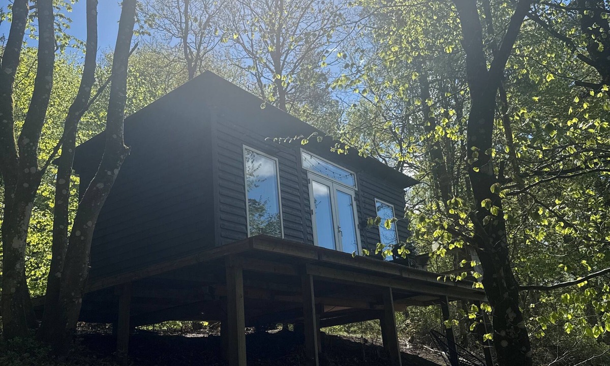 Them Cabin | Coziest (note primitive) wooden cabin close to the sky mountain in the middle of the forest