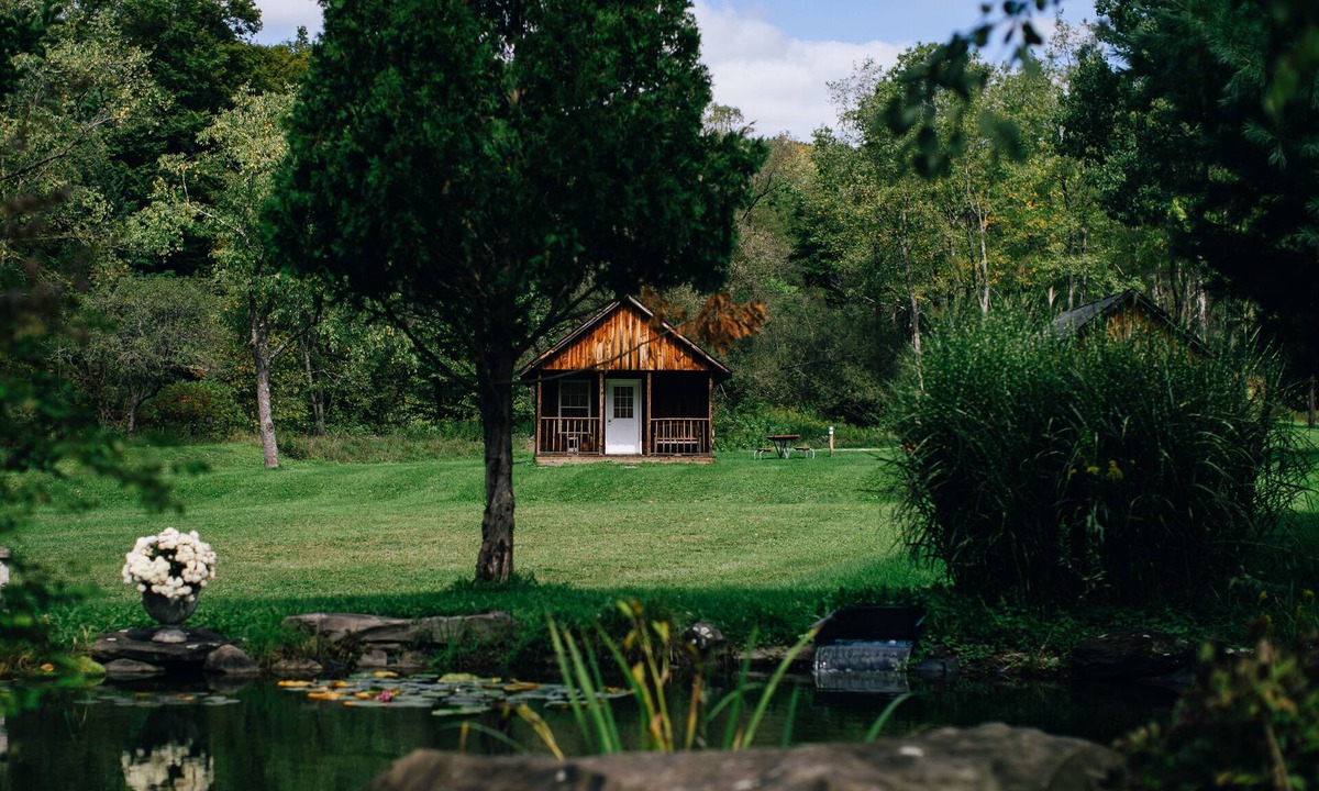 Blodgett Mills Cabin | COZY 1 room cabin with bathroom