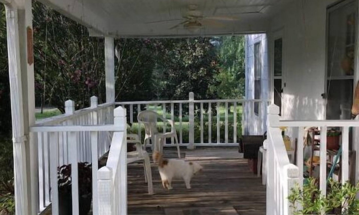 LaFayette House | Cozy 1890s Farm Cottage, fully modernized.