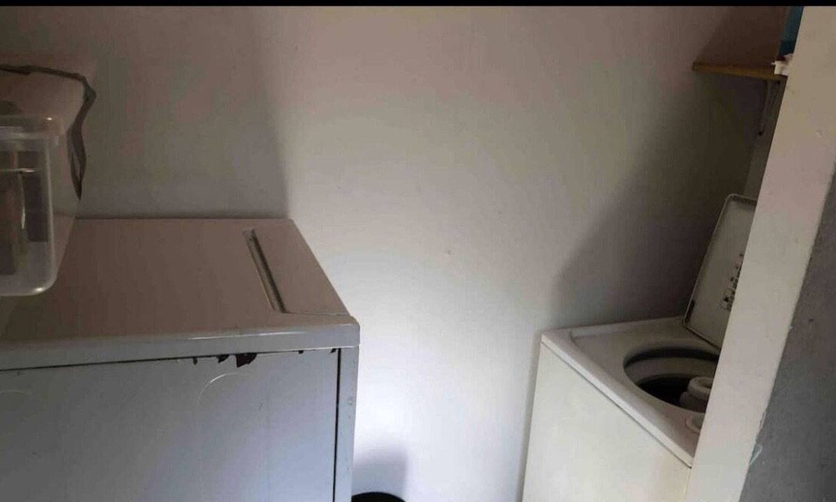 Georgetown Apartment | Cozy 2 Bd 1 Bath apartment