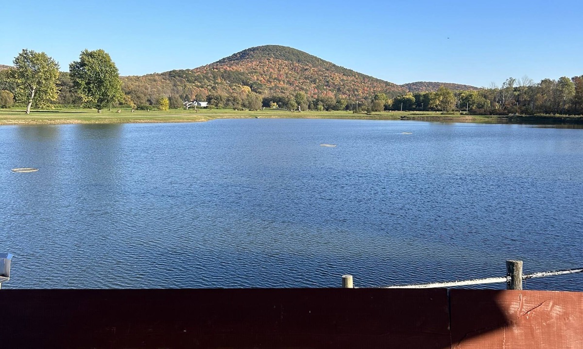 Town of Carrollton Cabin | Cozy 2 bedroom cabin on a 20 acre lake