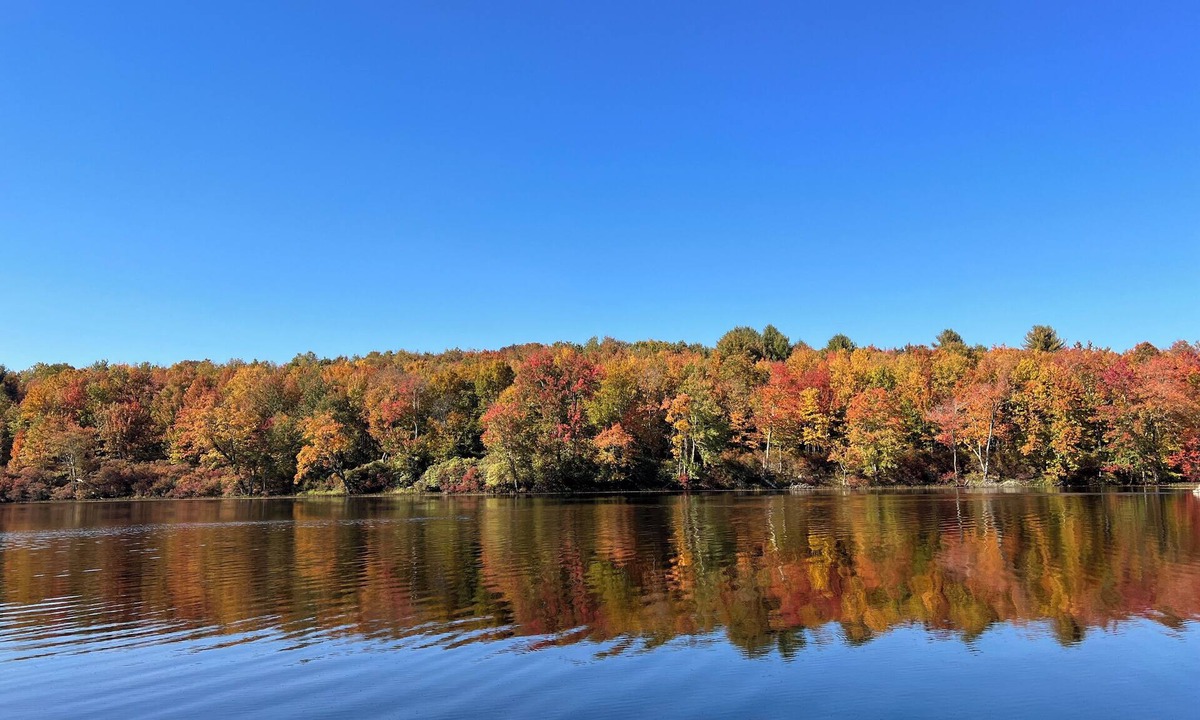 Swan Lake Cabin | Cozy 2-bedroom cabin in peaceful Swan Lake with WiFi.