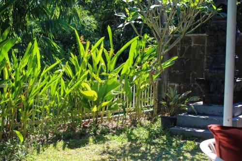 Blahbatuh House | Cozy 2BR House Near Pering Beach Gianyar Bali
