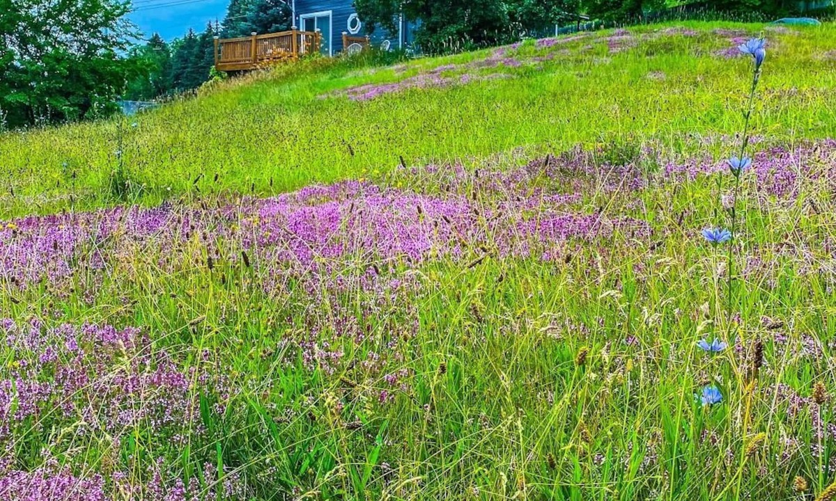 Ticonderoga House | Cozy Adirondack Loft Near Lake Champlain & George, Hiking and Historical Sites