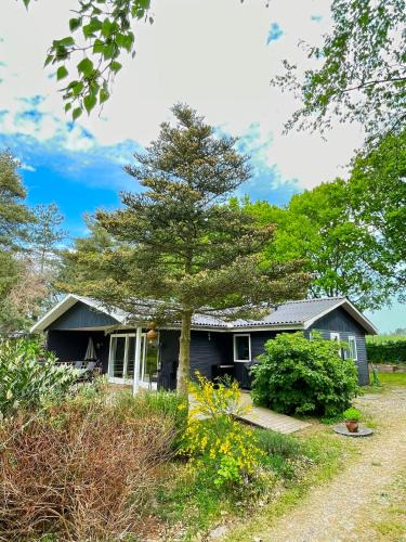Skødshoved Strand House | Cozy And Family-Friendly Holiday Cottage Near The Beach And Nature