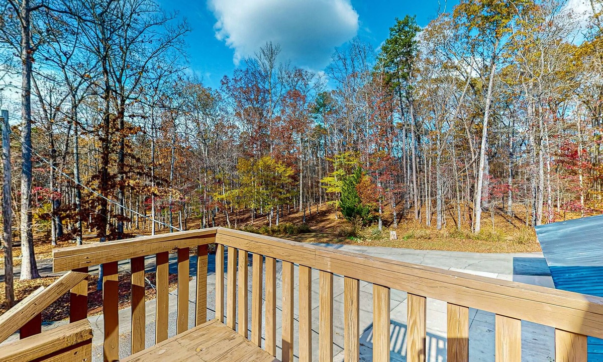 Summerville Apartment | Cozy and private studio on 5-shared acres with kitchenette & WiFi