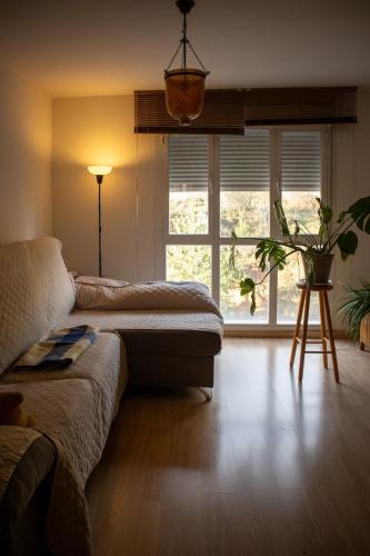 Bronchales Apartment | Cozy apartment in the mountains
