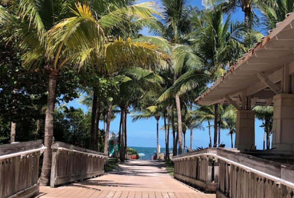 Key Biscayne Apartment | Cozy Beach Apartment