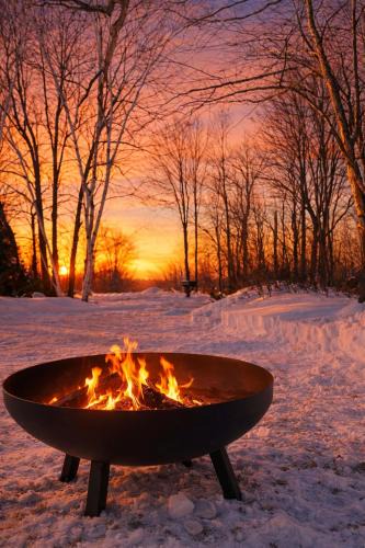 Whitewater Region Apartment | Cozy Beachburg Apartment Fire Pit and Privacy