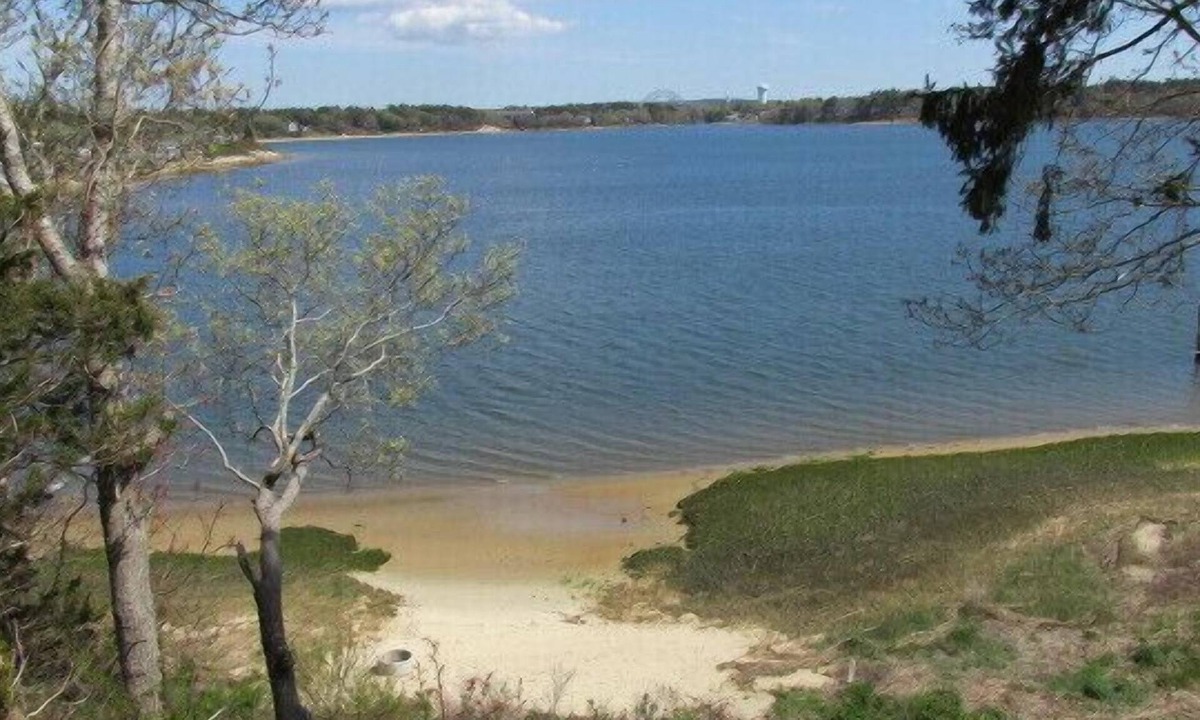 Buzzards Bay Cottage | Cozy Beachfront home w/amazing views.