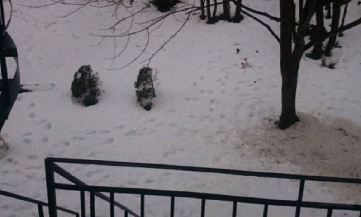 Cote-Des-Neiges—Notre-Dame-De-Grace Apartment | Cozy bedroom/Looking for a roommate