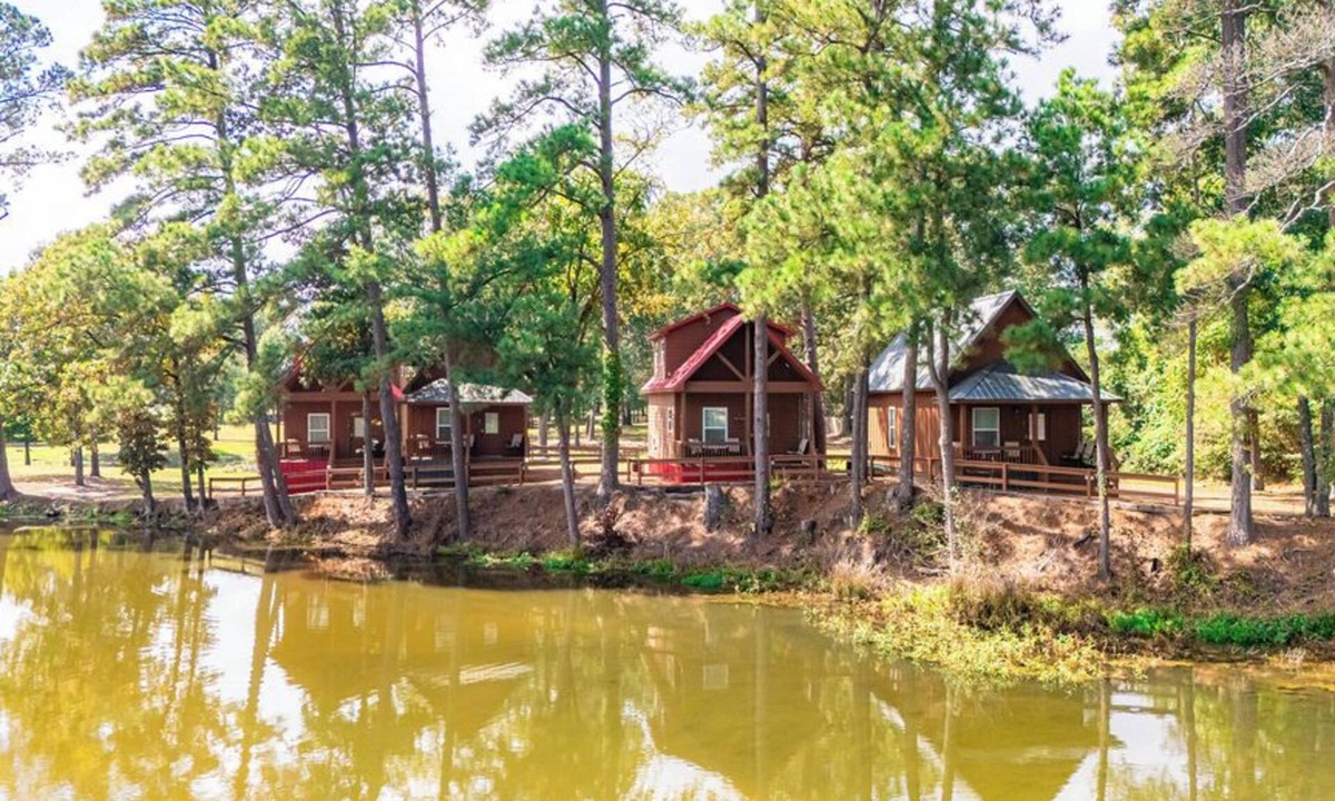 Big Sandy Cabin | Cozy Cabin in Big Sandy